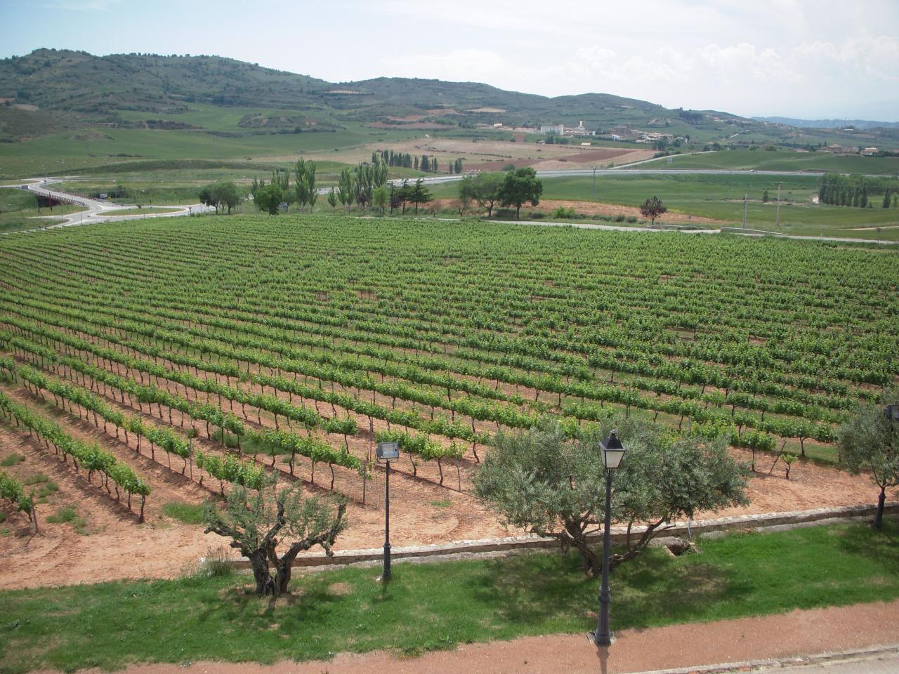 Vignes de Monjardin