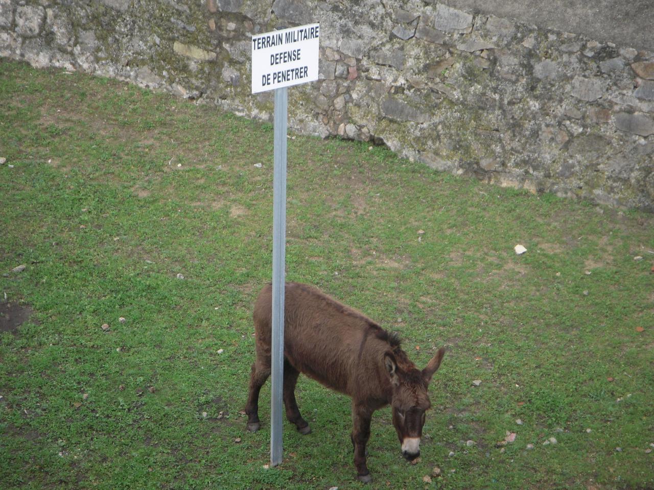 Zone militaire