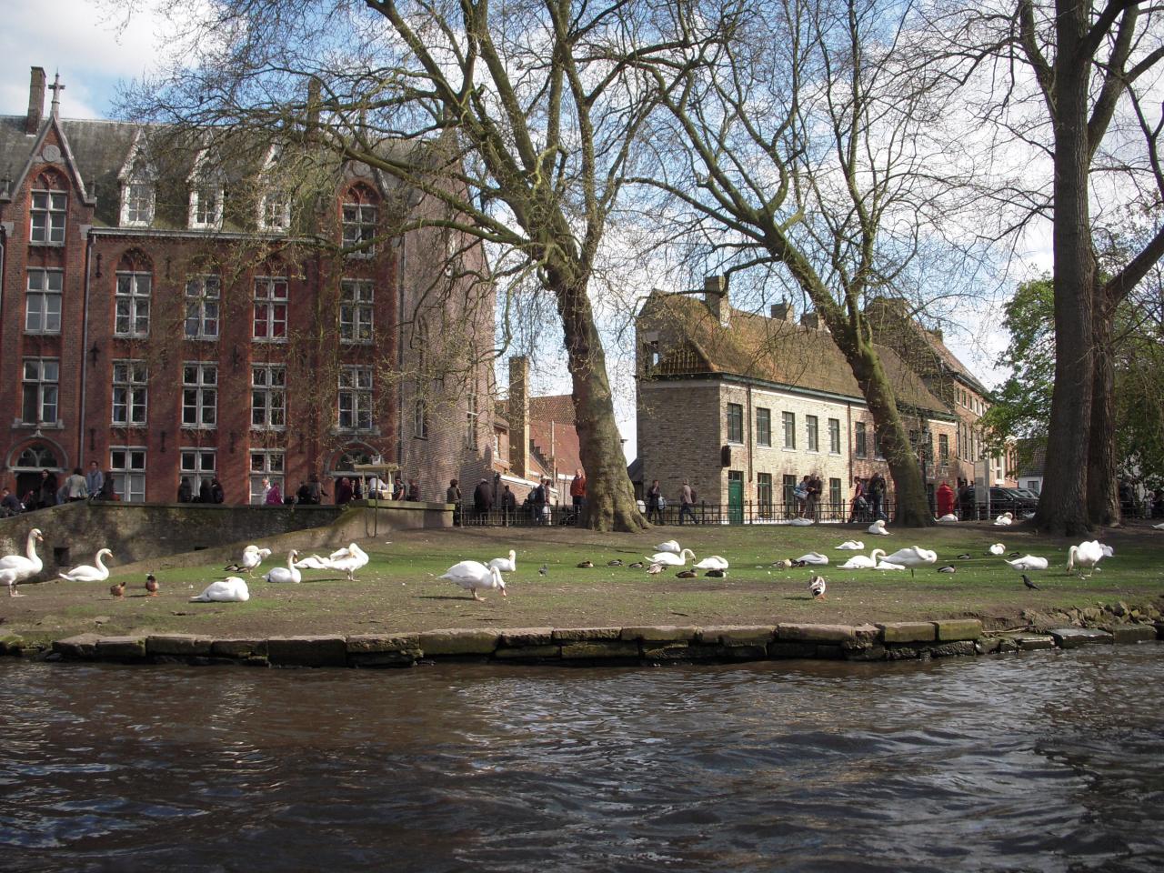 S'il y avait Charly, y aurait plus de canards !