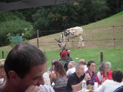 dscn6929.jpg